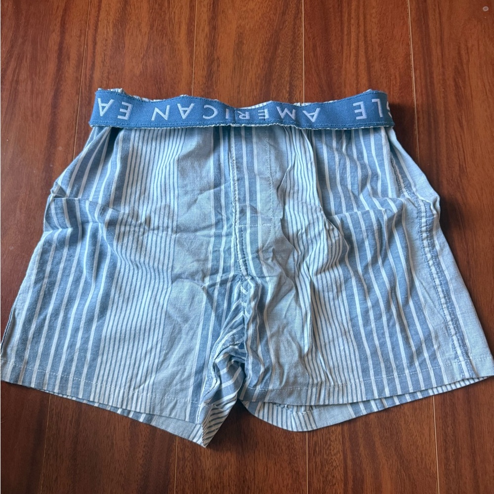 American Eagle Outfitters Light Blue Striped Boxers